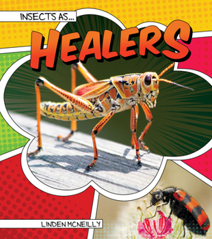Paperback Insects as Healers Book
