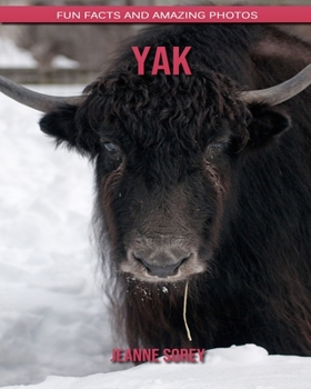 Yak: Fun Facts and Amazing Photos