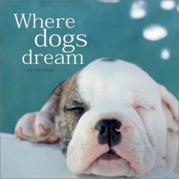 Hardcover Where Dogs Dream Book