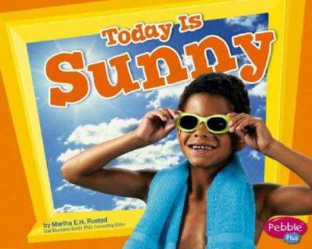 Library Binding Today Is Sunny Book