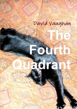 Paperback The Fourth Quadrant Book