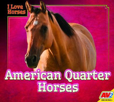 American Quarter Horses