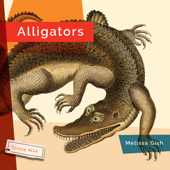 Paperback Alligators Book