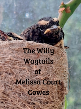 The Willy Wagtails of Melissa Court Cowes
