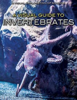 Paperback A Visual Guide to Invertebrates Book