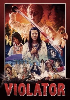 DVD Violator Book