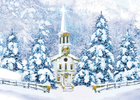 Gift Winter Sanctuary Deluxe Boxed Holiday Cards (20 Cards, 21 Self-Sealing Envelopes) Book