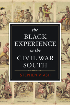 Paperback The Black Experience in the Civil War South Book