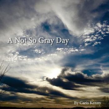 Paperback A Not So Gray Day Book