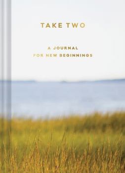 Diary Take Two: A Journal for New Beginnings Book