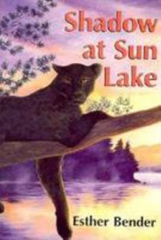 Paperback Shadow at Sun Lake /Out of Print Book