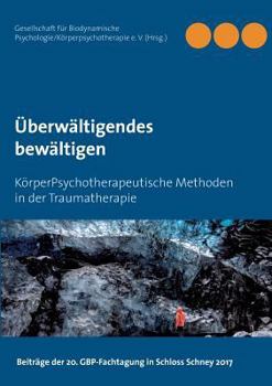 Paperback Überwältigendes bewältigen: KörperPsychotherapeutische Methoden in der Traumatherapie [German] Book