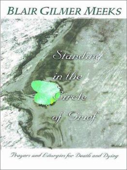 Paperback The church in a changing society (Into our third century) Book