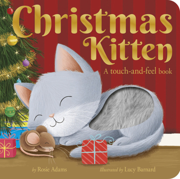 Board book Christmas Kitten: A Touch-And-Feel Book