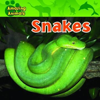 Snakes - Book  of the Amazing Animals