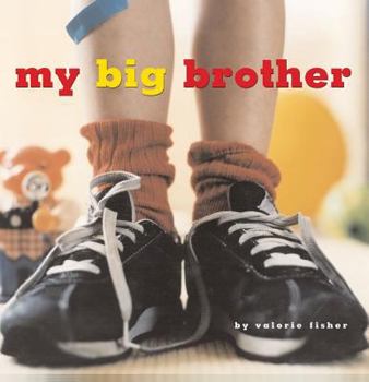 Hardcover My Big Brother Book