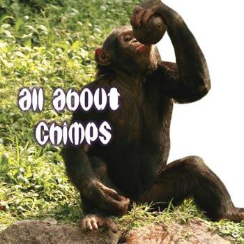 Board book All about Chimps Book