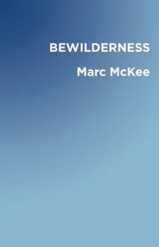Paperback Bewilderness Book