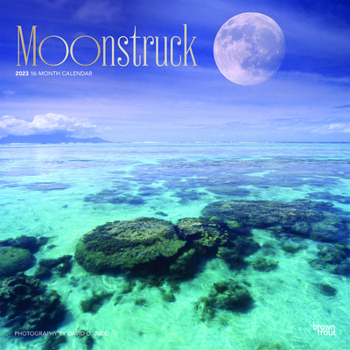 Calendar Moons 2023 Square Foil Book