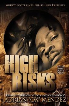 Paperback High Risks Book