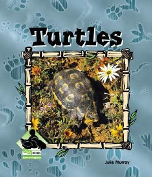 Library Binding Turtles Book