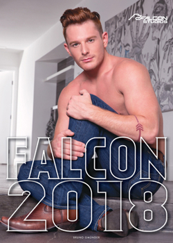 Calendar Falcon 2018 Book