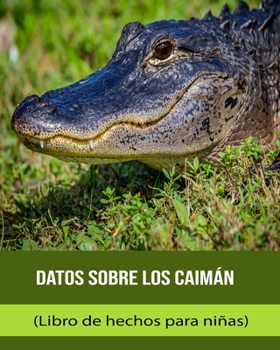 Paperback Datos sobre los Caimán (Libro de hechos para niñas) [Spanish] [Large Print] Book