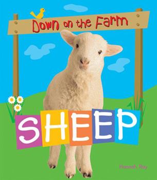 Paperback Sheep Book