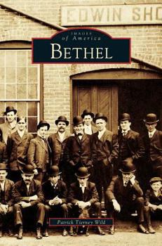 Hardcover Bethel Book