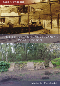 Paperback Southwestern Pennsylvania's Coal Region Book