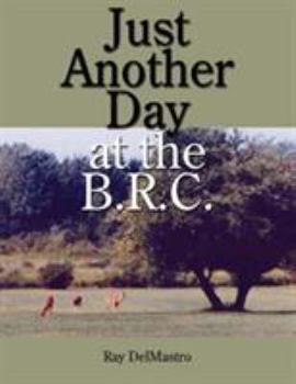 Paperback Just Another Day at the B.R.C. Book