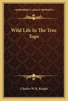 Wild Life In The Tree Tops