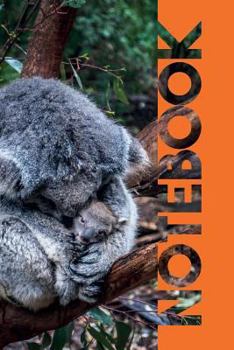 Paperback Notebook: Baby Koala Charming Composition Book for Australian Mammal Fans Book