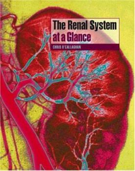 Paperback The Renal System at a Glance Book