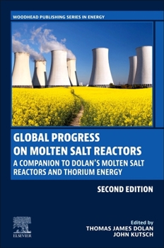 Paperback Global Progress on Molten Salt Reactors: A Companion to Dolan's Molten Salt Reactors and Thorium Energy Book