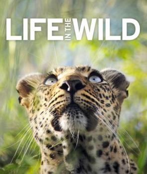 Hardcover Life in the Wild Book