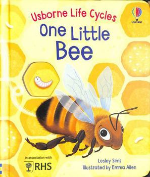 ONE LITTLE BEE - Book  of the Usborne Life Cycles