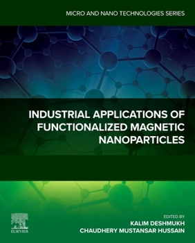 Paperback Industrial Applications of Functionalized Magnetic Nanoparticles Book