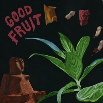 Music - CD Good Fruit Book