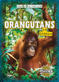Library Binding Orangutans in Danger Book