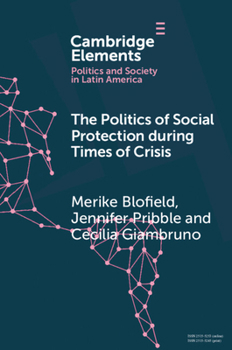 Paperback The Politics of Social Protection During Times of Crisis Book