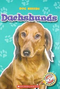 Dachshunds - Book  of the Dog Breeds