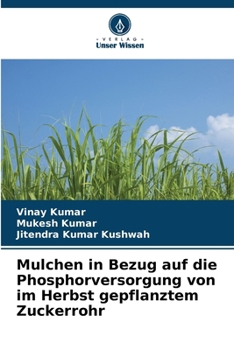 Mulchen in Bezug auf die Phosphorversorgung von im Herbst gepflanztem Zuckerrohr