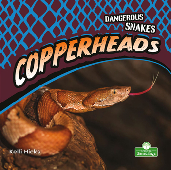 Paperback Copperheads Book