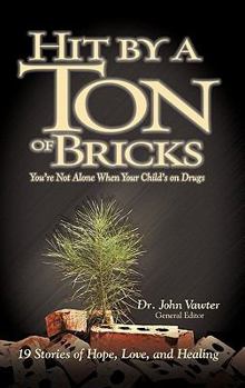 Hardcover Hit by a Ton of Bricks: You're Not Alone When Your Child's on Drugs Book