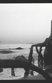 Paperback Lost at Sea Book