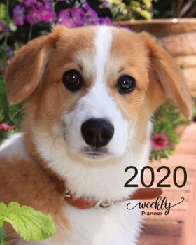 2020 WEEKLY PLANNER: Measuring | 8"X10" | January through December 2020 showing entire month at a glance & weekly goals and notes - Corgi dog Lover Gift