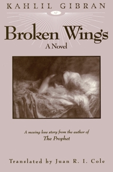 Hardcover Broken Wings Book