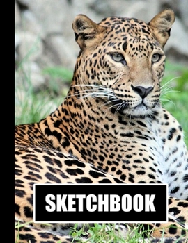 Sketchbook: Leopard Cover Design White Paper 120 Blank Unlined Pages 8.5 X 11 Matte Finished Soft Cover