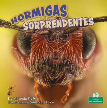 Library Binding Hormigas Sorprendentes (Amazing Ants) [Spanish] Book